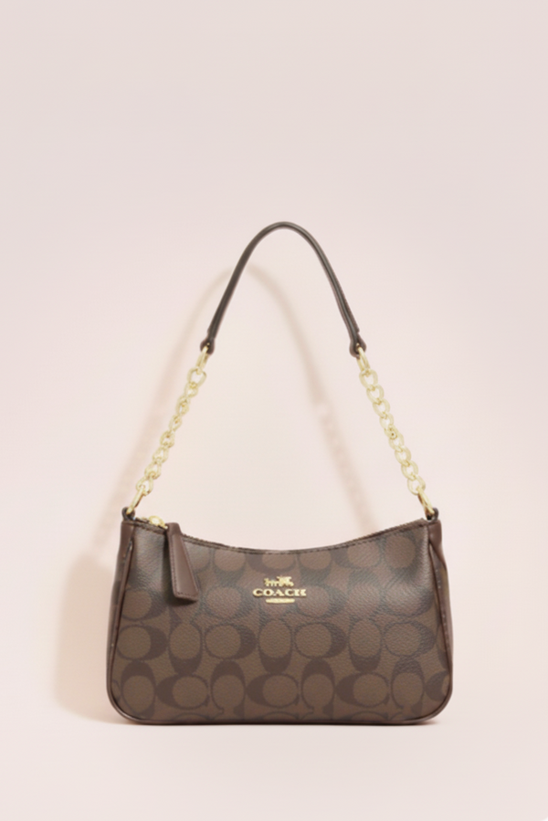 Classic Monogram Hobo